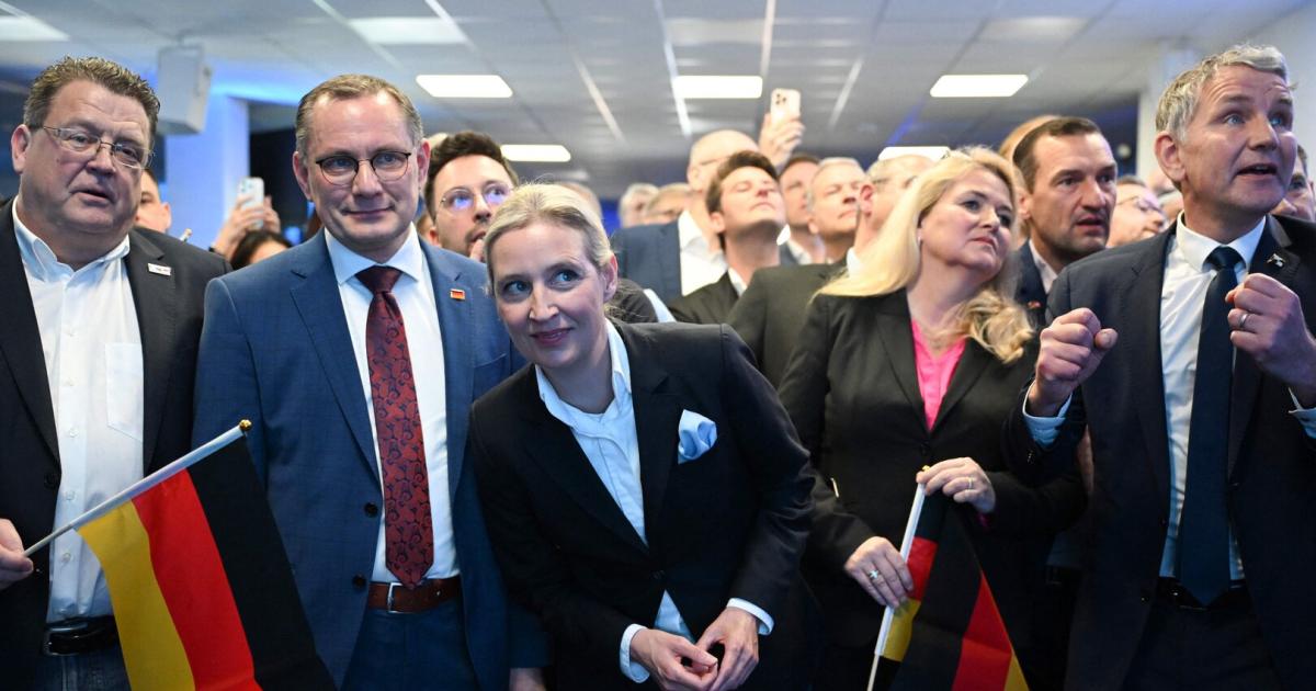 AfD Als Rechtsextrem: Neue Paukenschlag-Analyse