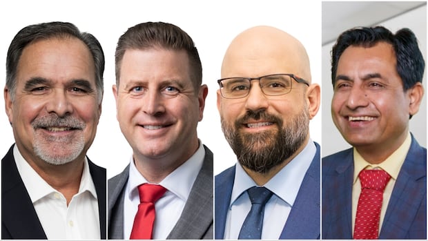 Hamilton & Niagara's 4 New MPs: Meet The Elected Officials
