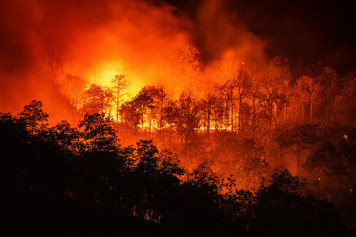 Los Angeles Wildfires: Understanding Legal Recourse