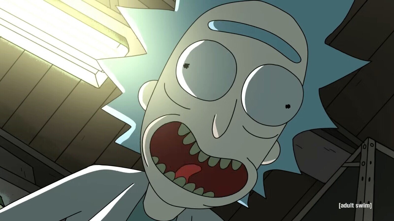Rick And Morty: 100-Year Run? Fan Debate Explodes