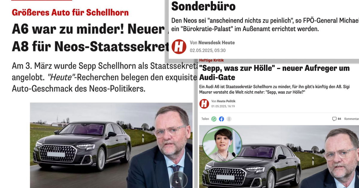 Sepp Schellhorn: Vom Opfer Zur Zielscheibe