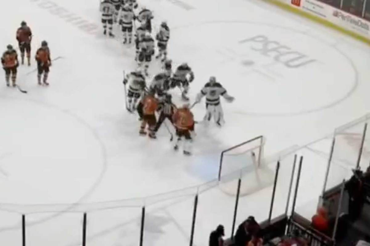 Stevenson-Petersen Near Goalie Brawl: Bears' Game 4 Win