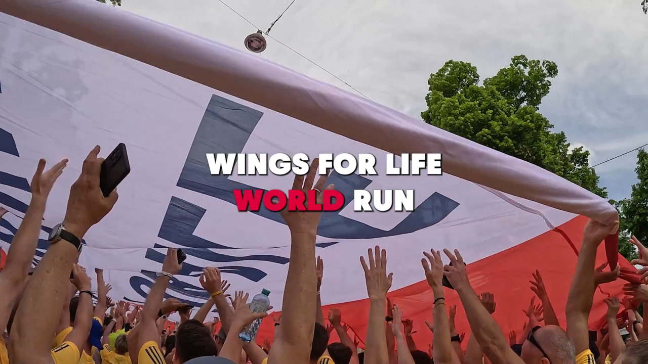Wings For Life World Run 2025:  Everything You Need To Know