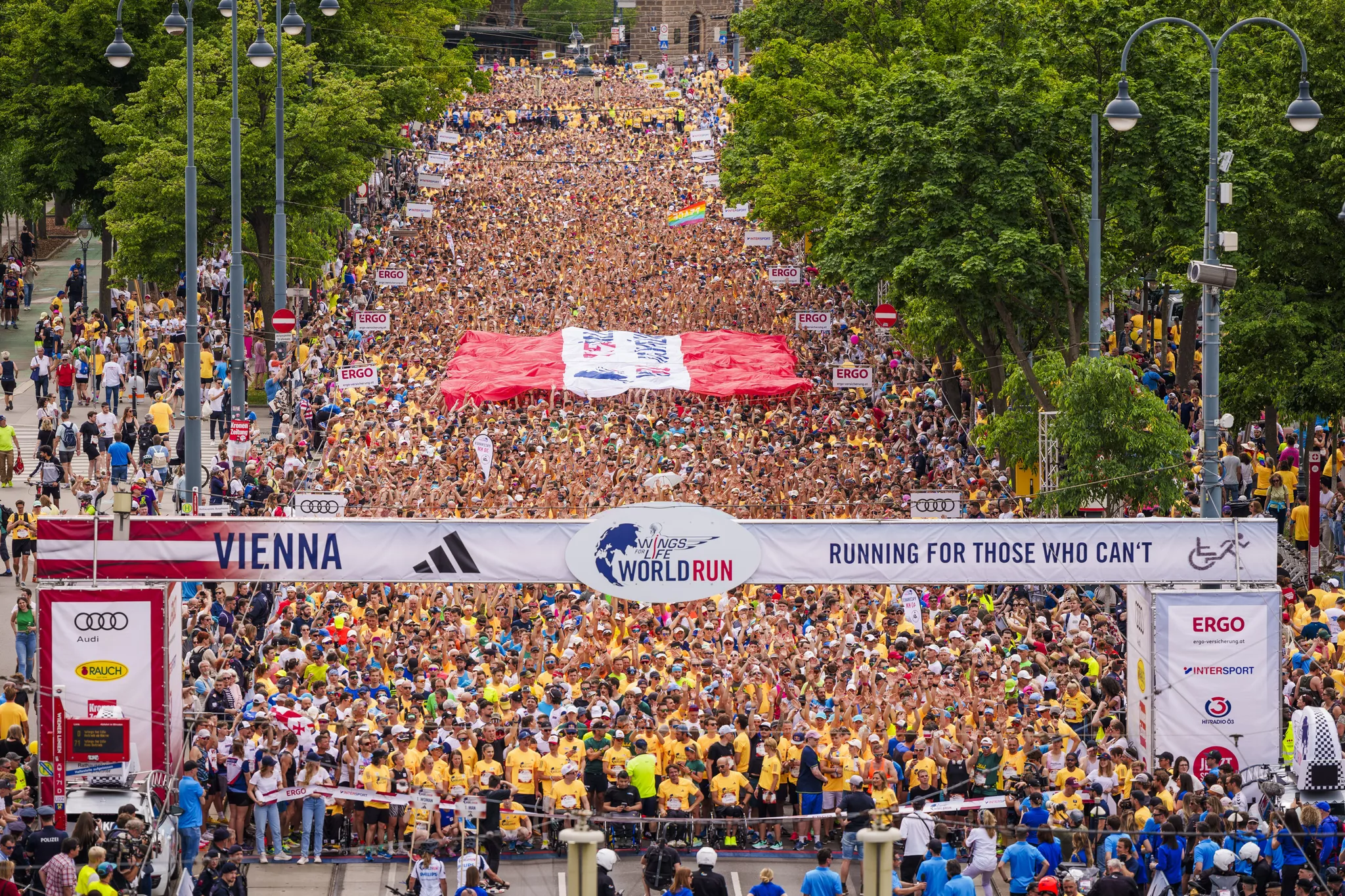 Wings For Life World Run Amstetten: Laufen Für Forschung